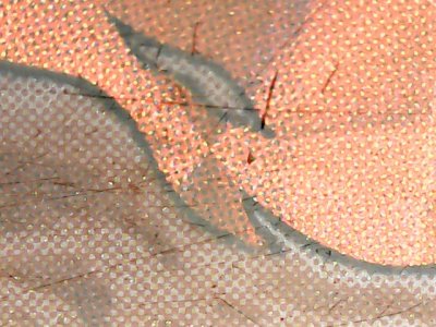 SN36699