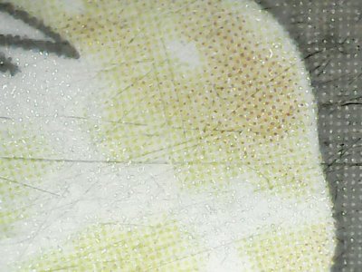 SN36699