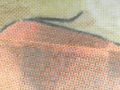 SN36699