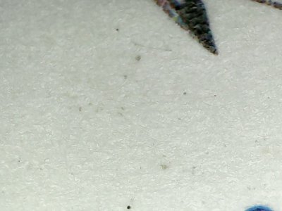 SN36699