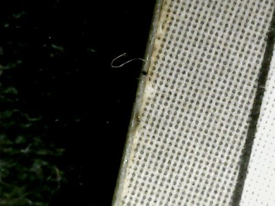 SN36699
