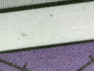 SN36700