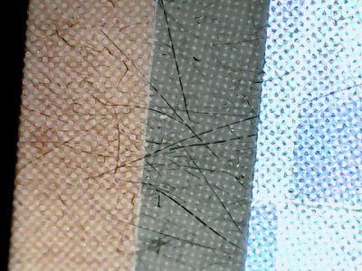 SN36701