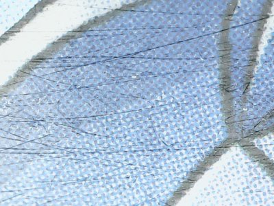 SN36701