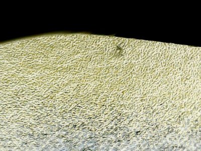 SN36705