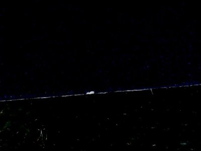 SN36728