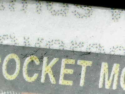 SN36749