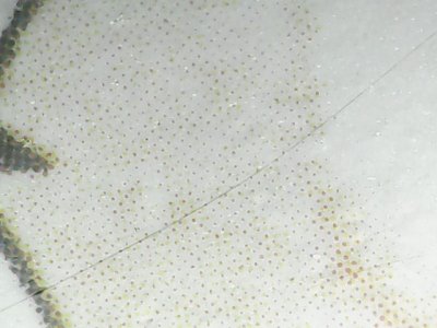 SN36749