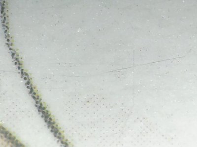 SN36749