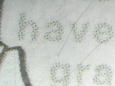SN36750