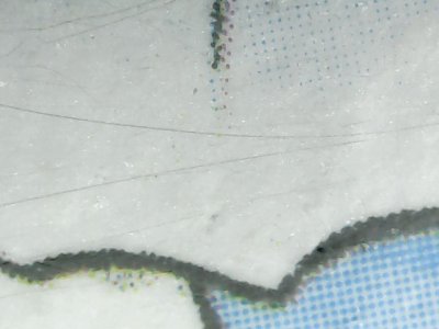 SN36750