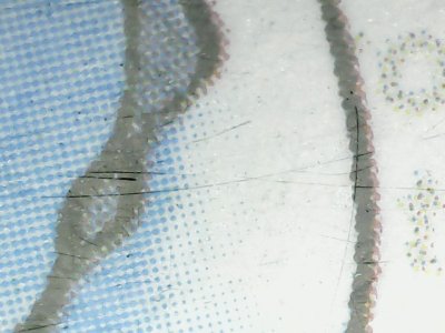 SN36750