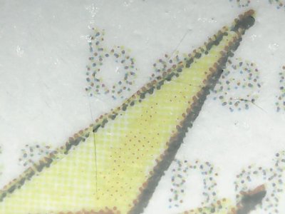SN36751