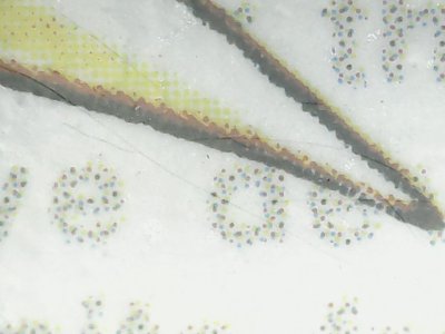 SN36751