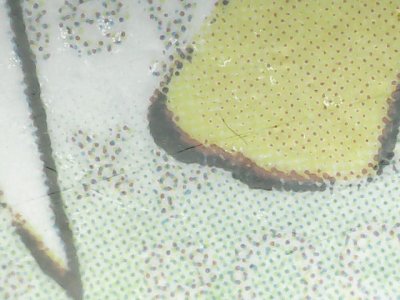 SN36751
