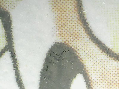 SN36752