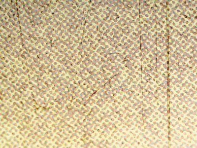 SN36757