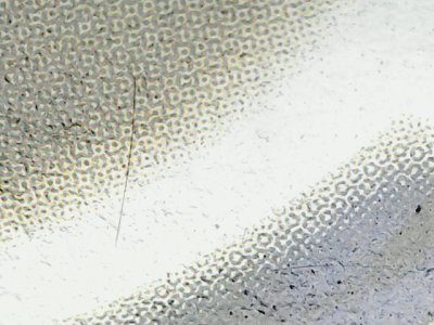 SN36758