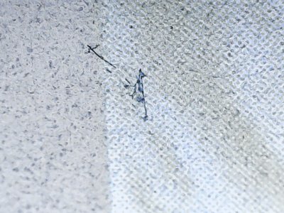 SN36762