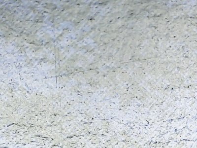 SN36763