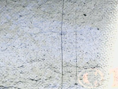 SN36763