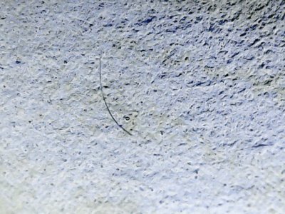 SN36764