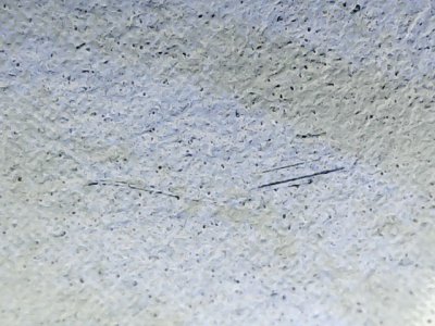 SN36764