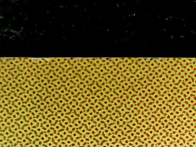 SN36765