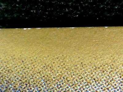 SN36765
