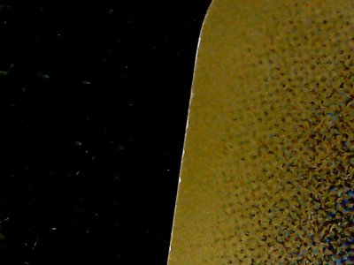 SN36765
