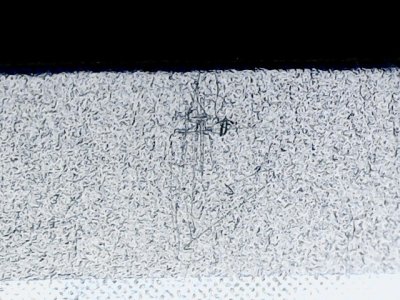 SN36864