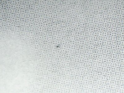 SN36874