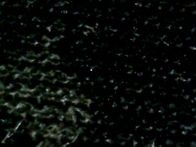 SN36953