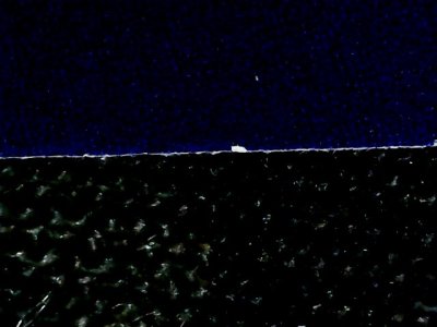 SN36956