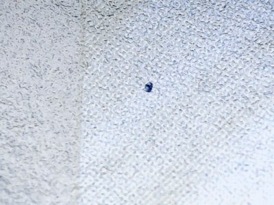 SN36958