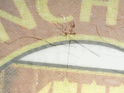 SN36999