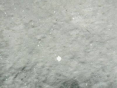 SN37000