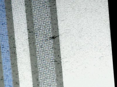 SN37004
