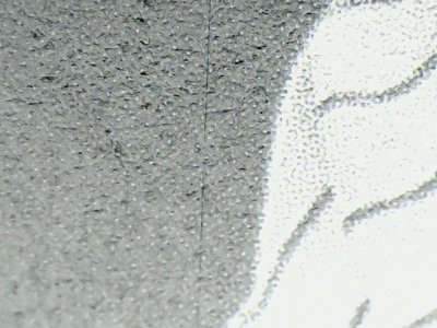 SN37005