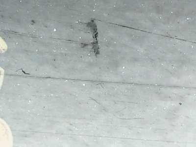 SN37014