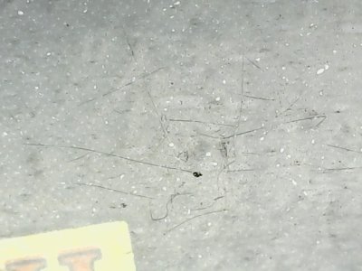SN37015