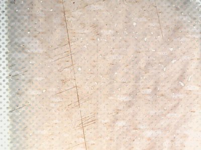 SN37016