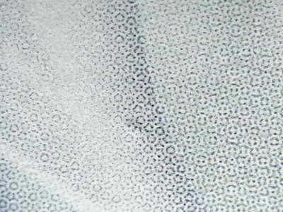 SN37017