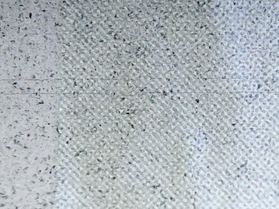 SN37124