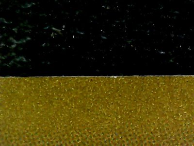 SN37125