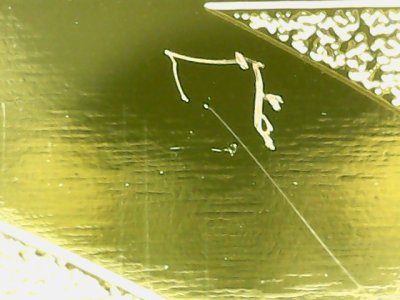 SN37190