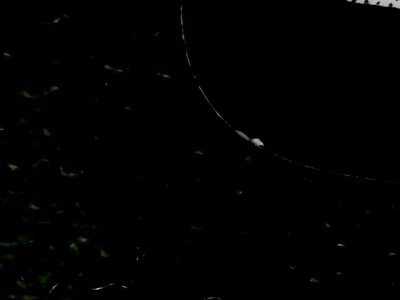 SN37191
