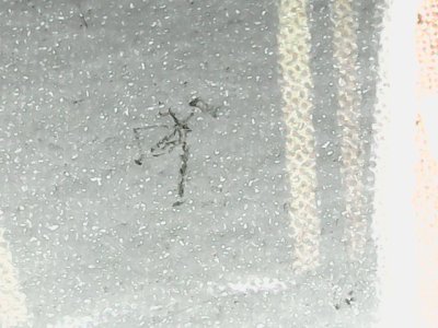 SN37201