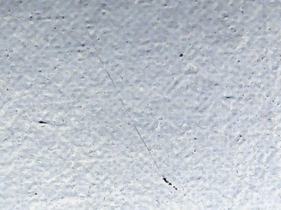 SN37291
