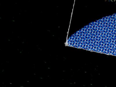 SN37295